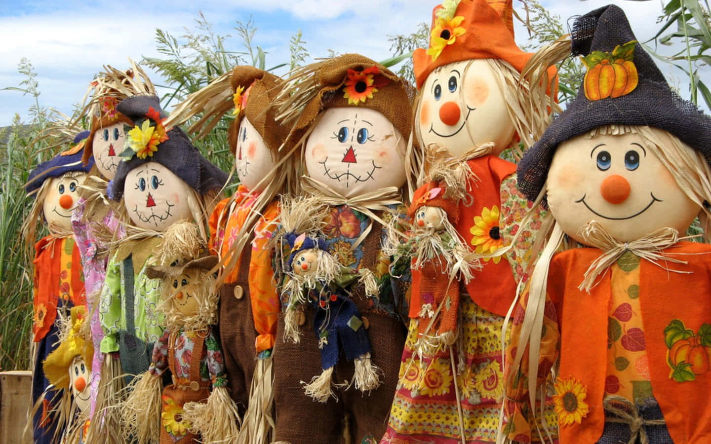 Group Of Scarecrow Picture