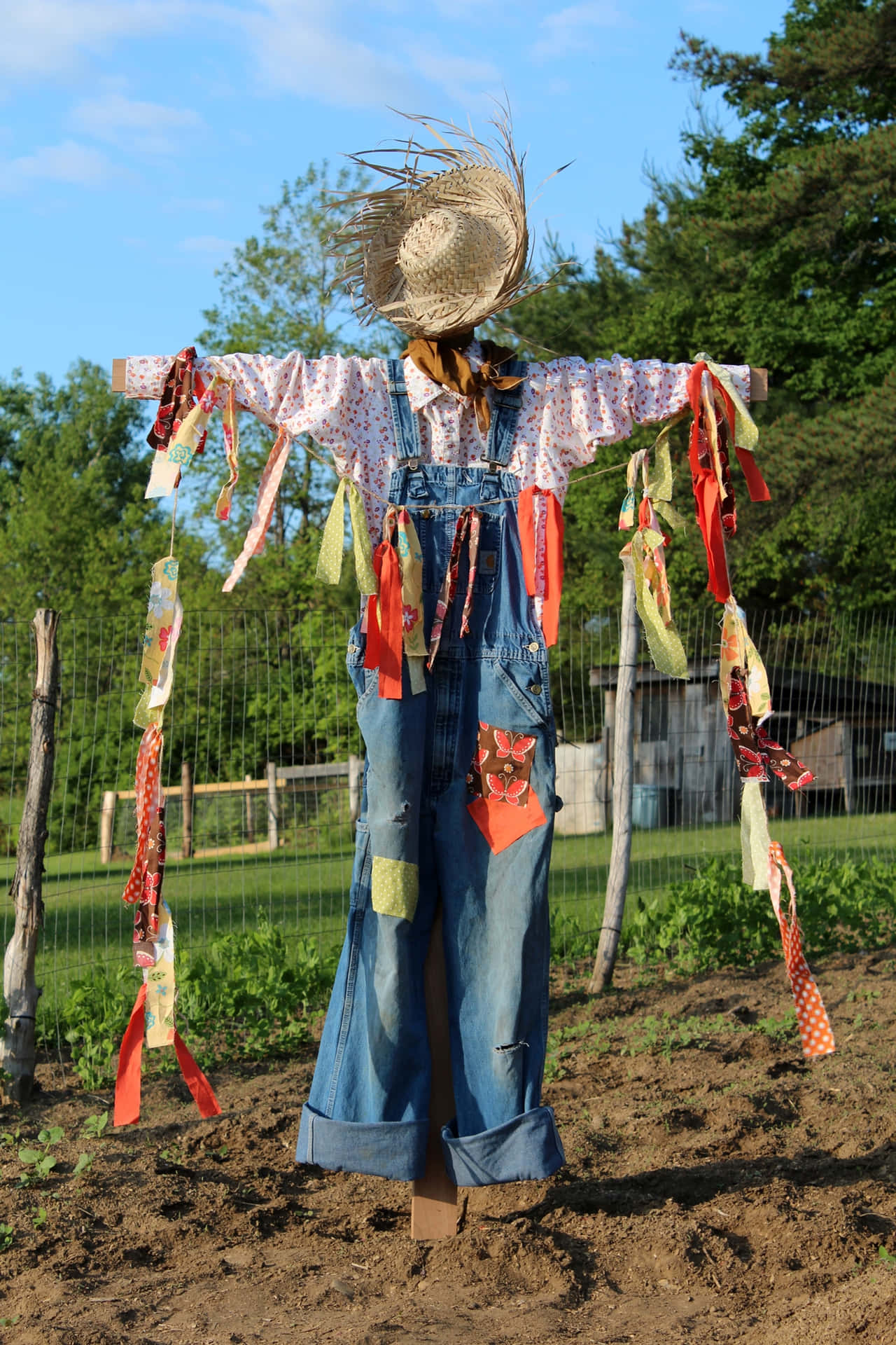 Scarecrow With Party Flags Picture