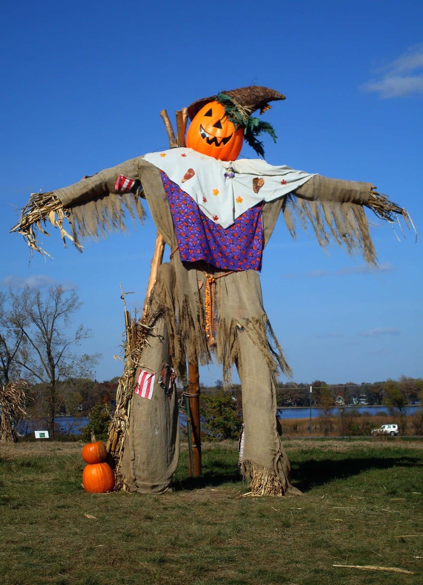 Scarecrow With Pumpkin Head Picture