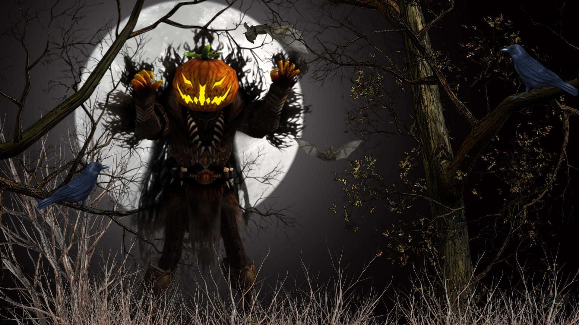 A scarecrow guards a field of pumpkins Wallpaper