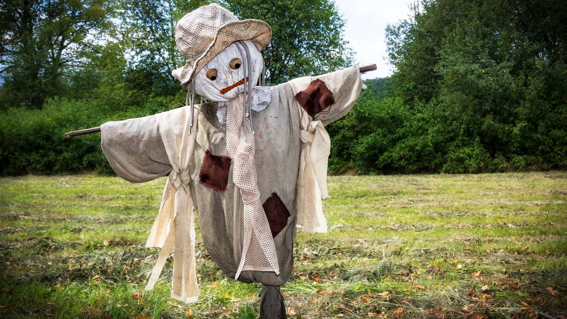 Scarecrows frighten away the birds in the peaceful countryside. Wallpaper