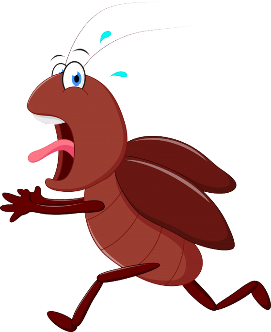 Scared Cartoon Cockroach Running PNG