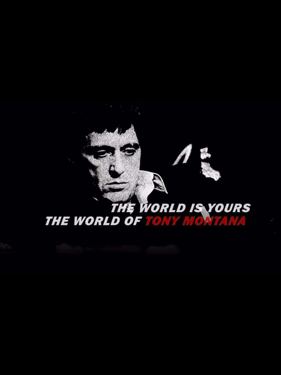 Tony Montana's iconic rise in Scarface