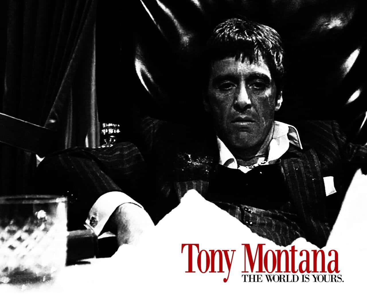 Scarface Tony Montana Wallpaper
