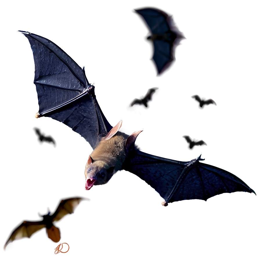 Download Scary Bats Flight Png 6 | Wallpapers.com