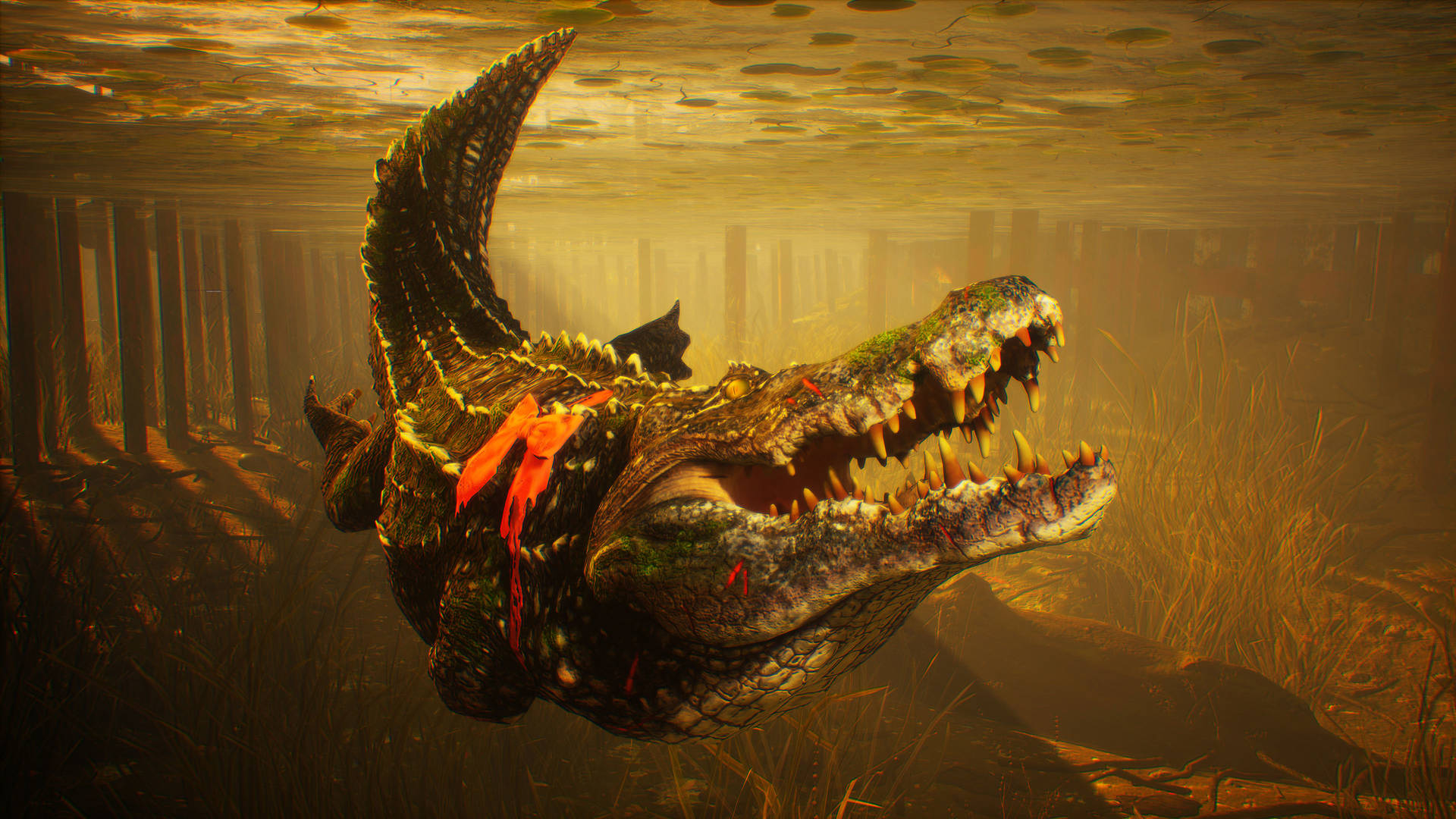 Scary Caiman Under Water Wallpaper