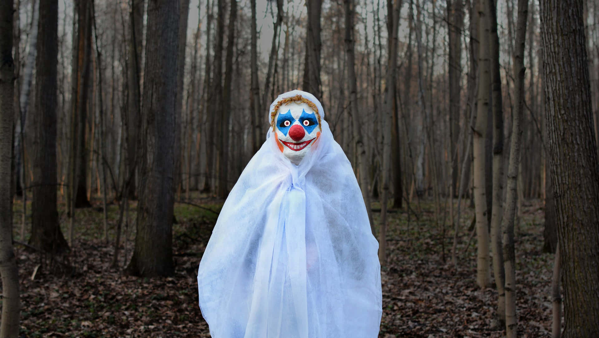 Scary Clown Creepy Forest Pictures