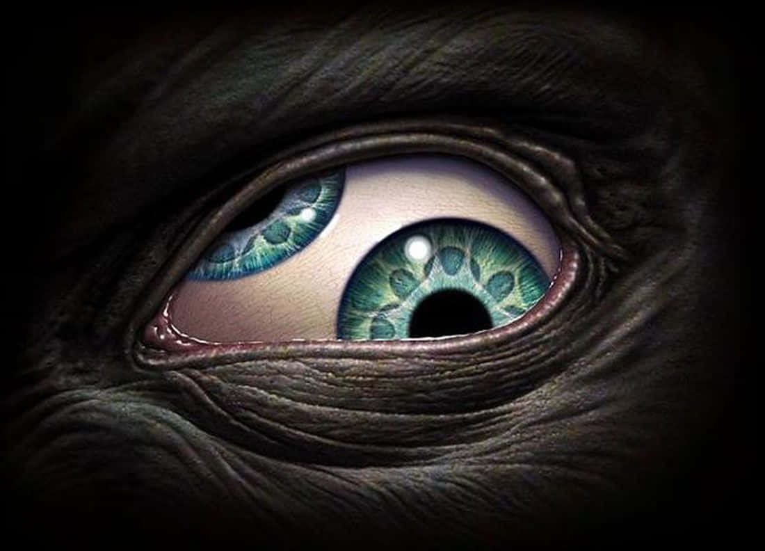 Scary Eyes Visual Art Wallpaper