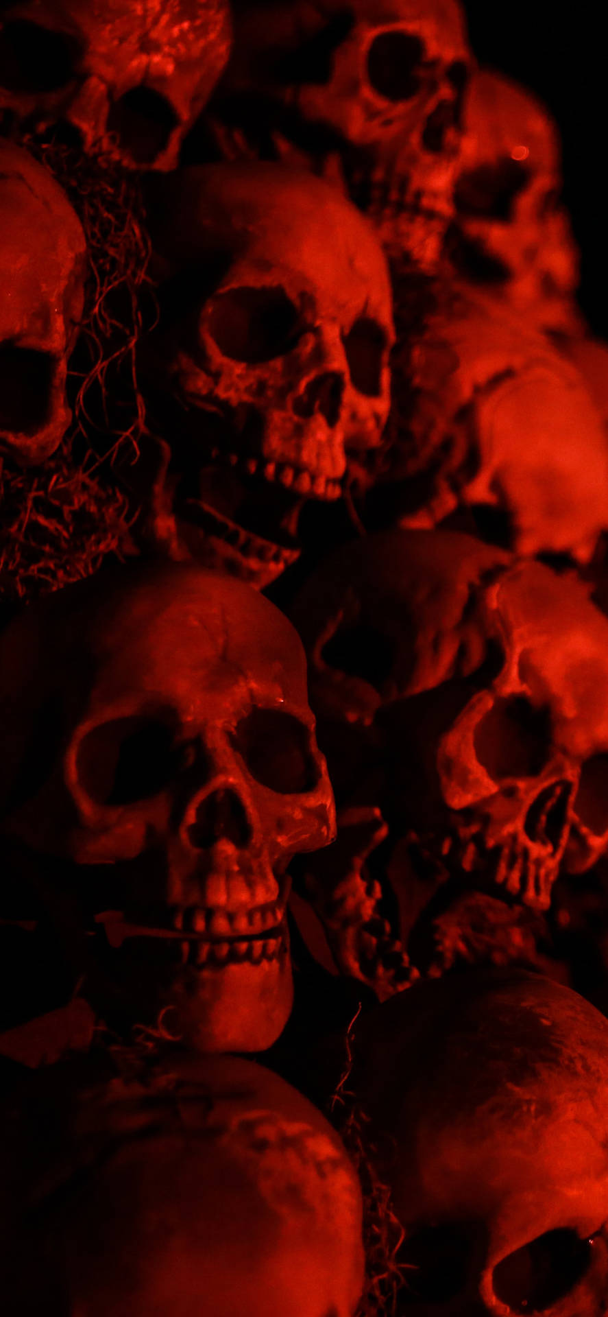 Scary Skulls Iphone Wallpaper