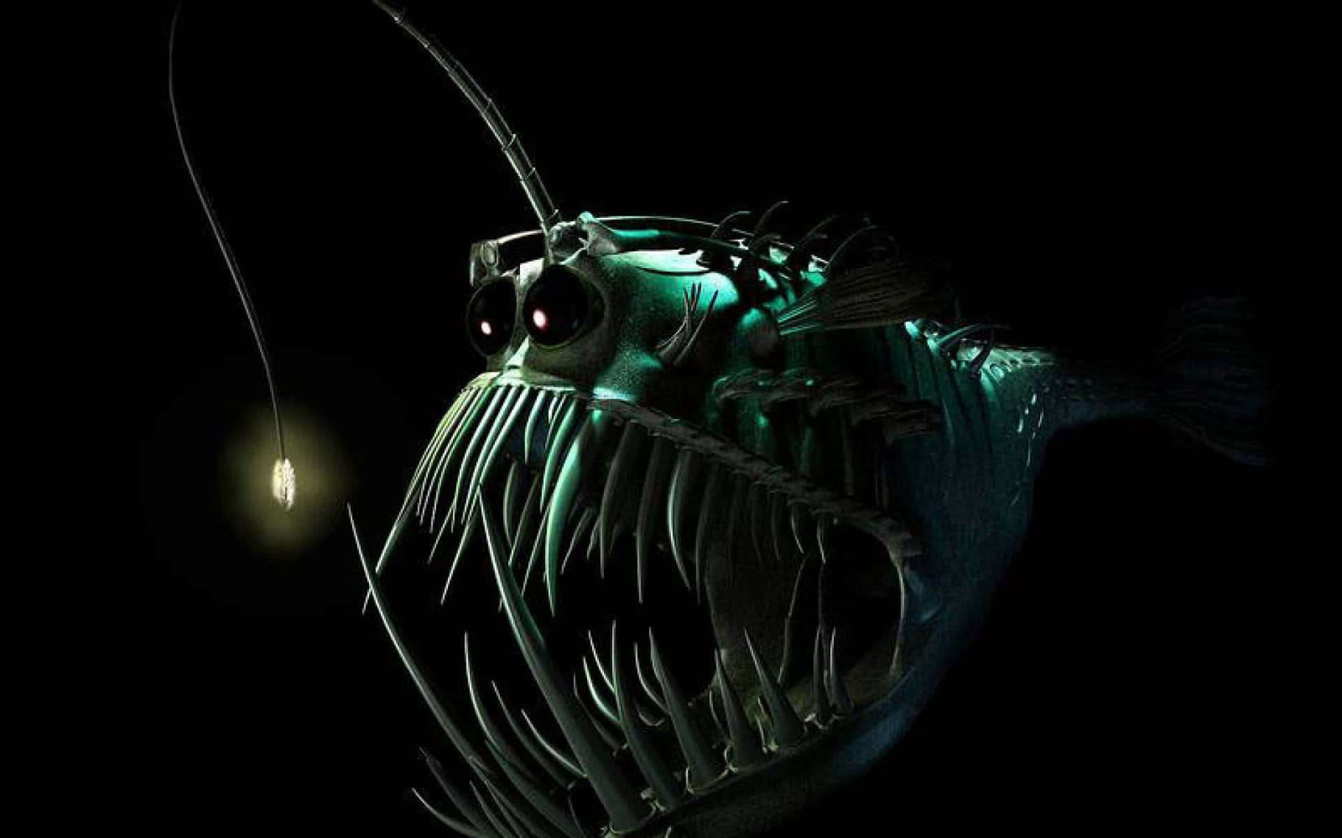 Creepy Anglerfish Scary Ocean Picture 1920 x 1200 Picture