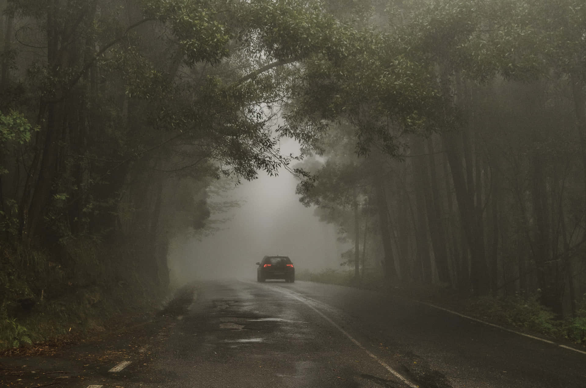 Imagende Un Camino Tenebroso Y Con Niebla