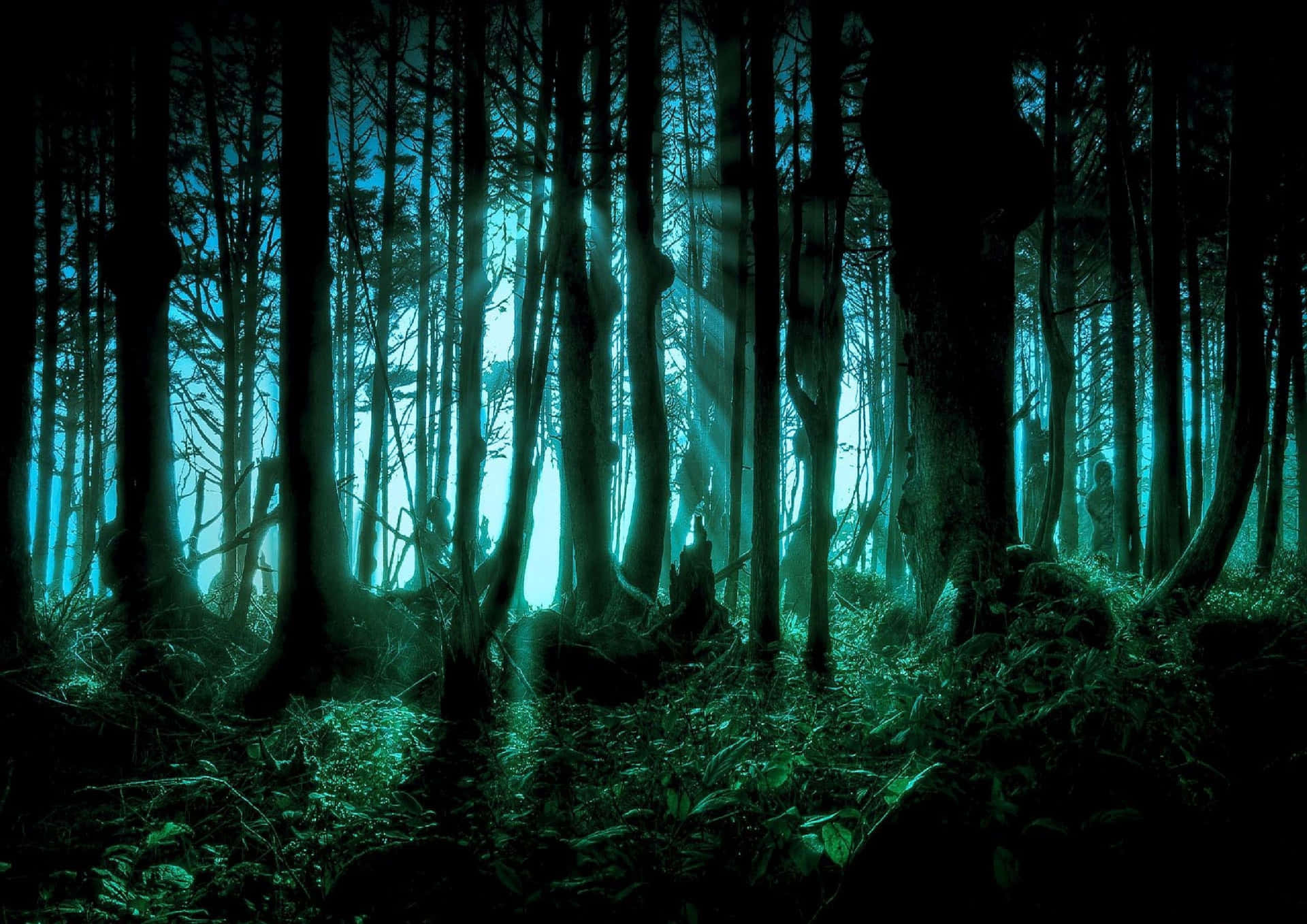 Skrämmandemörkt Skogsbild