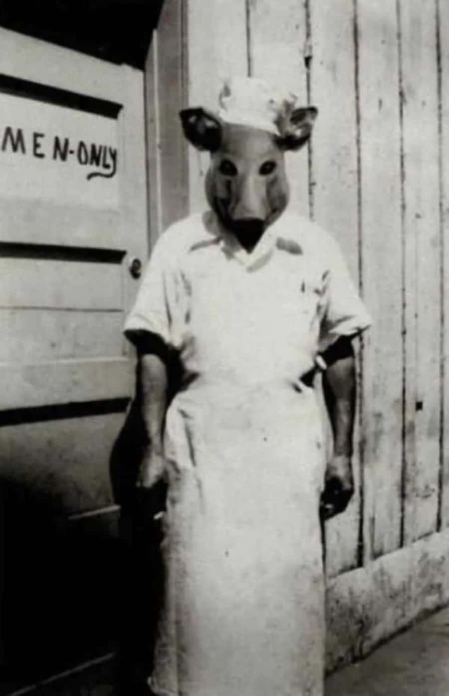 Scary Pig Nurse Strange Picture