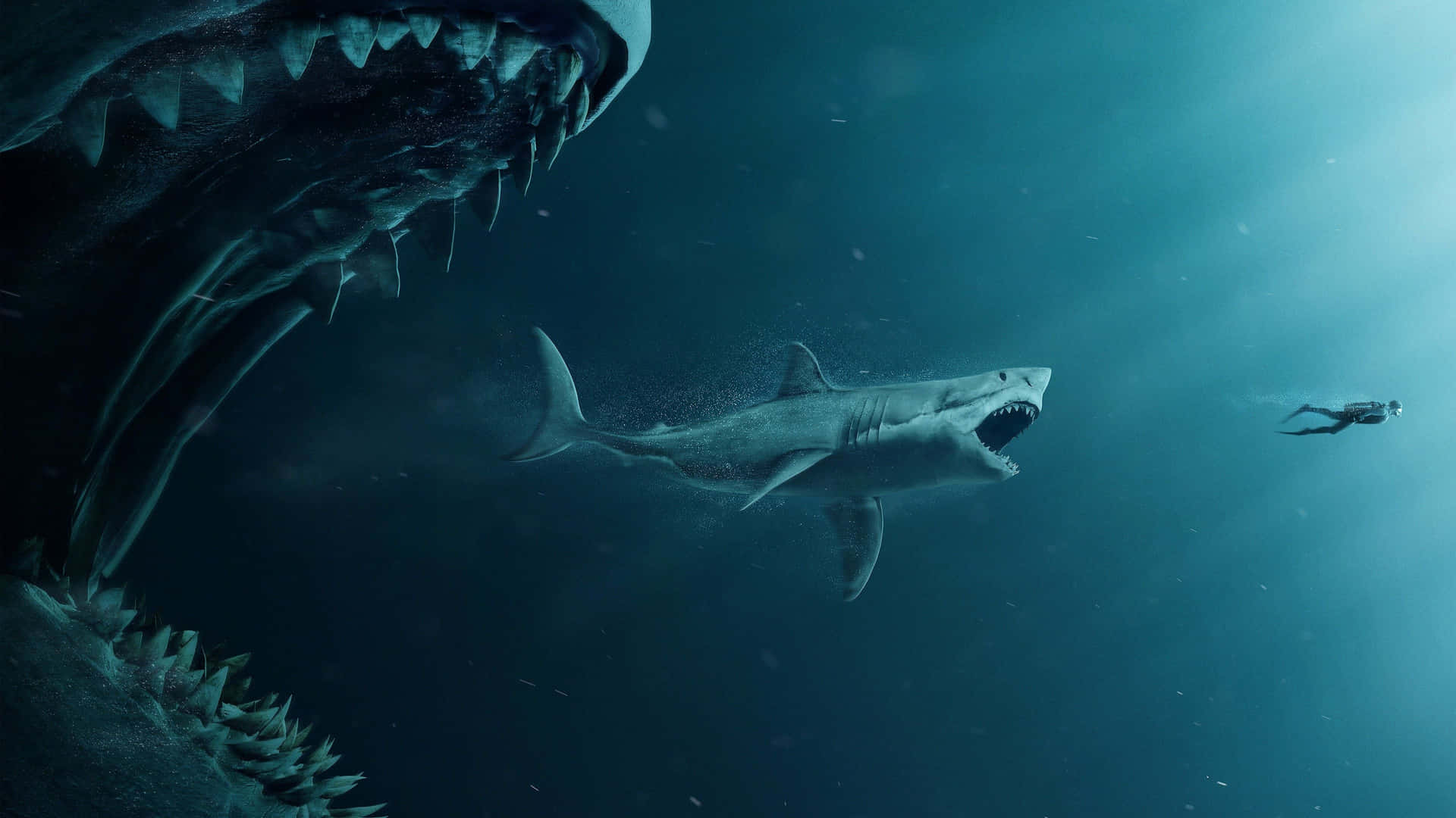 En skræmmende haj lurer i dybhavet. Wallpaper