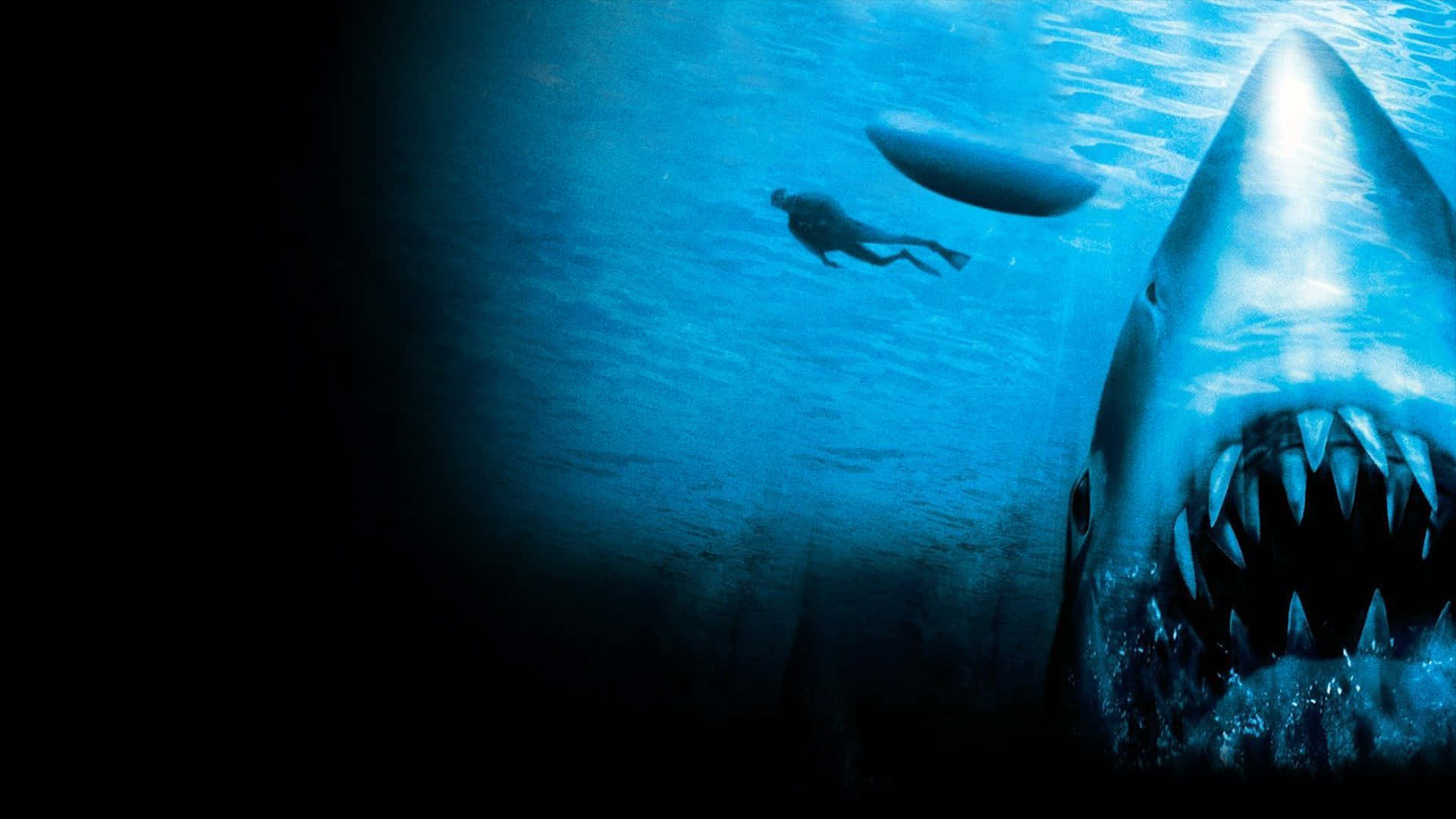 Den skræmmende syne af en skrækindjagende haj der kommer ud af havet Wallpaper