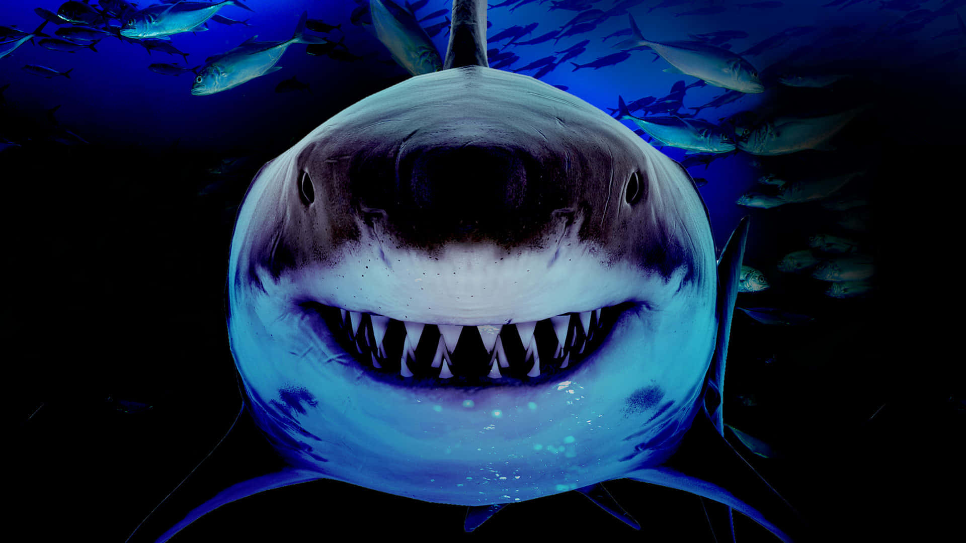 Nehmensie Einen Bissen Aus Der Angst Mit Diesem Gruseligen Hai-bild. Wallpaper