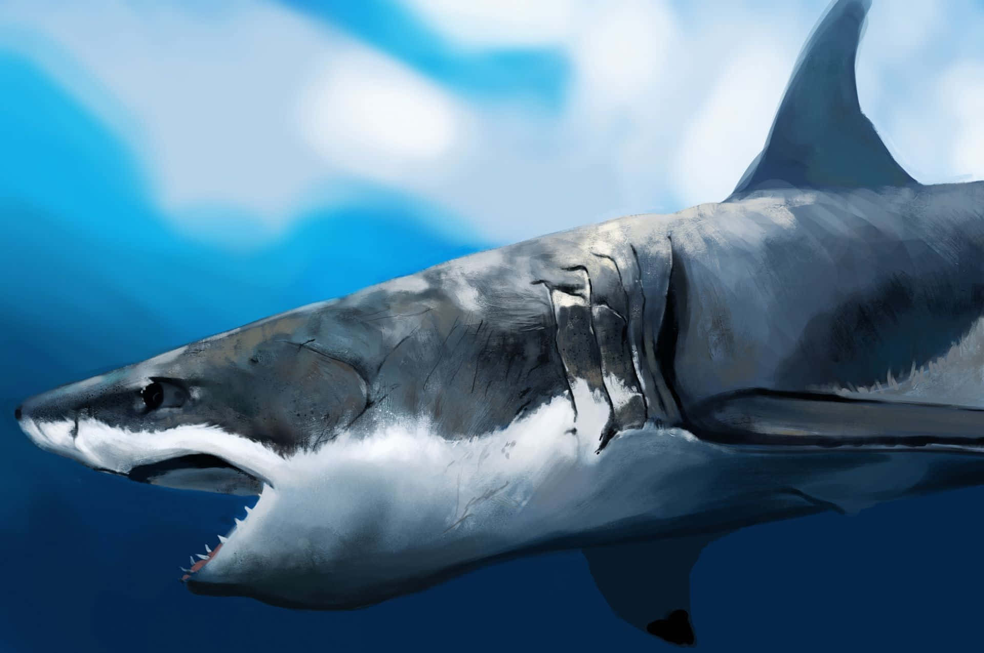 Overvej ikke at gå ud i havet, medmindre du er klar til at møde det skrækindjagende haj! Wallpaper