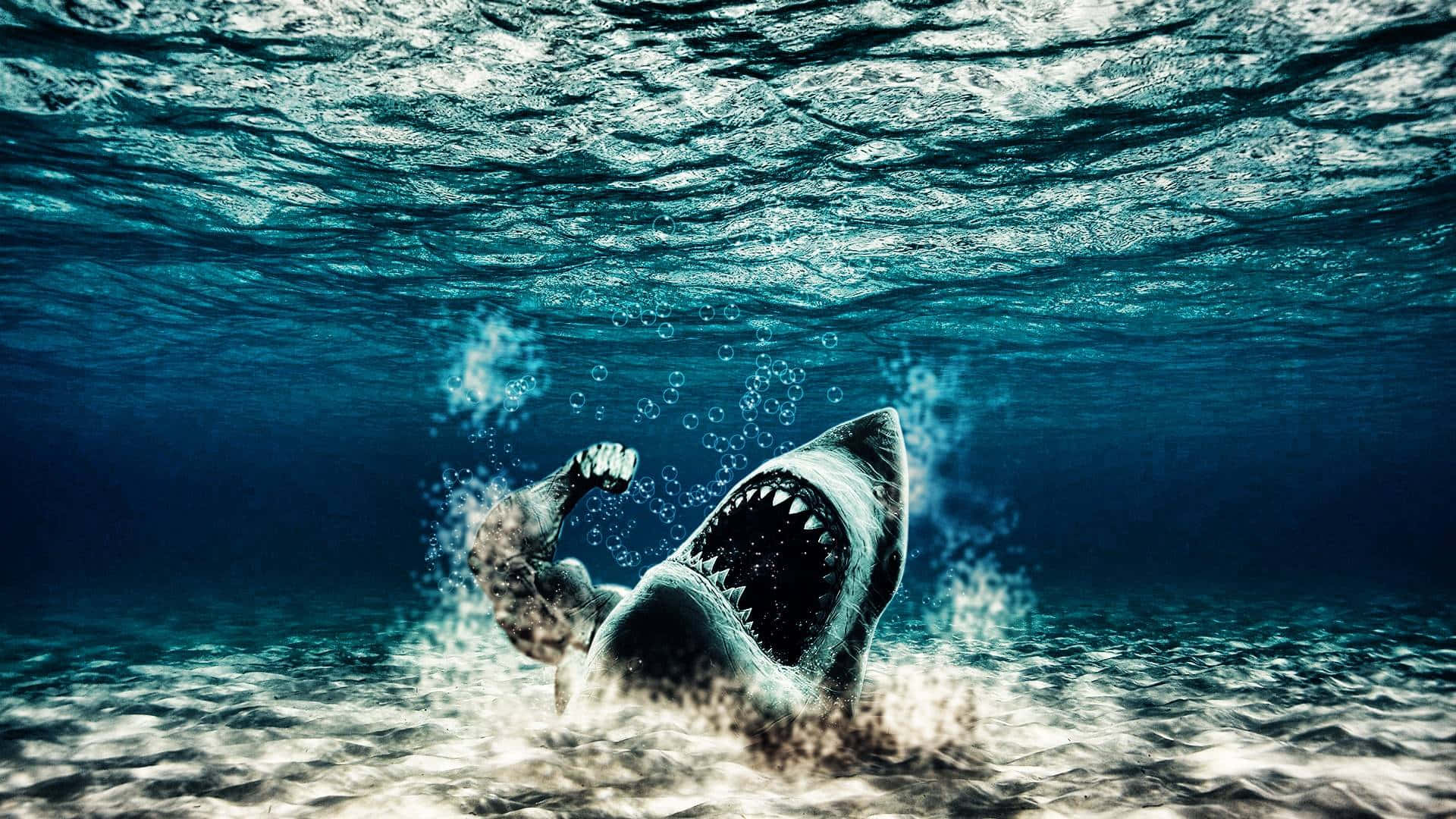 Unaterrador Tiburón Acechando Justo Debajo De La Superficie. Fondo de pantalla