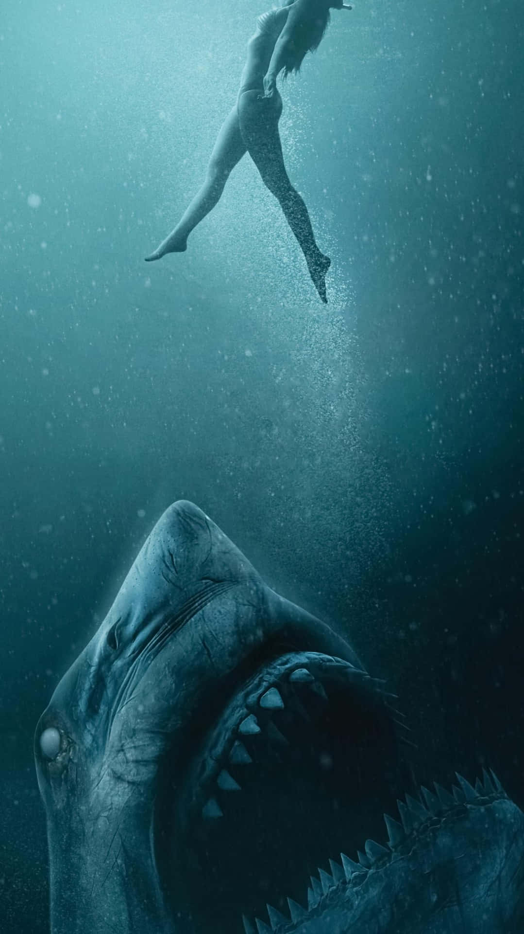 Scary Shark Swimmer Swimming Upwards Wallpaper