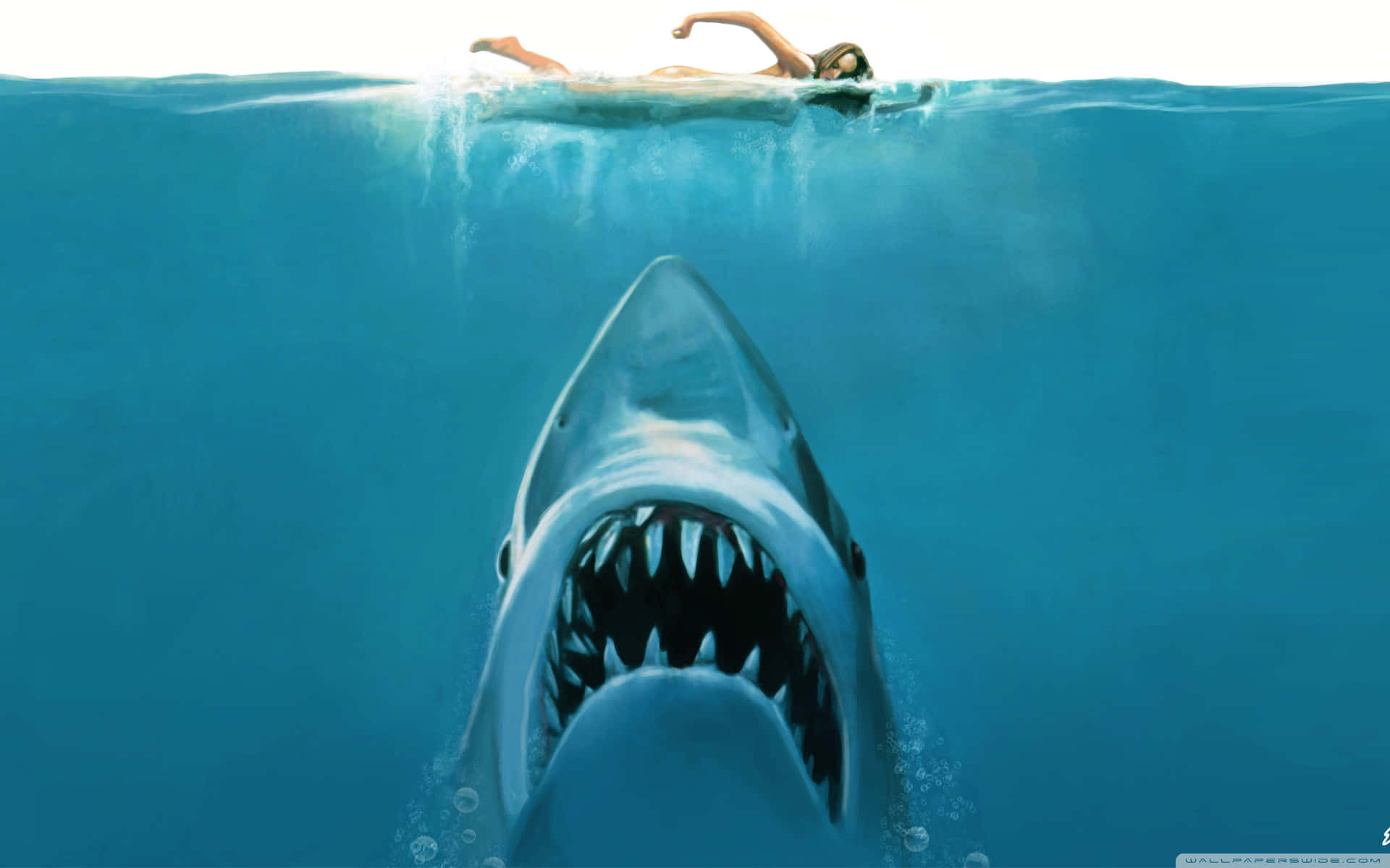 Pas på den skræmmende haj, som lurker dybt i det blå Wallpaper