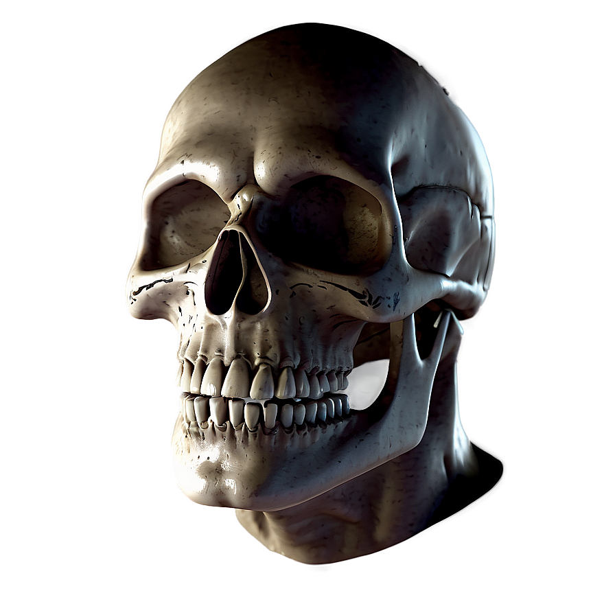 Scary Skull Face Portrait Png 73 PNG