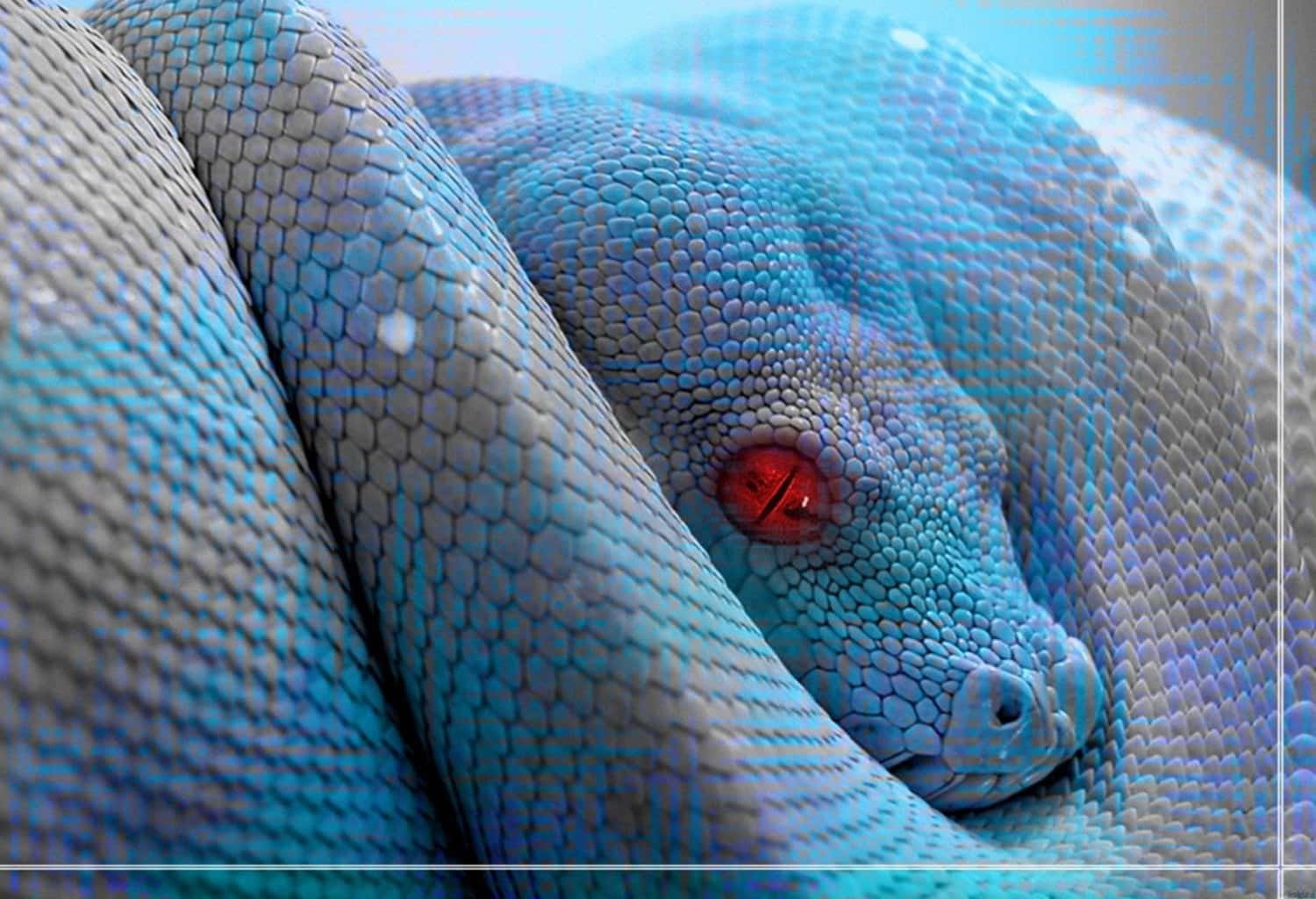 A Blue Snake With Red Eyes Is Laying On A Blue Background
