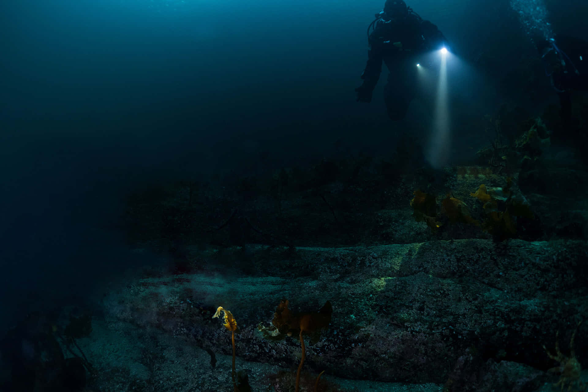 Explore the depths of the unknown with a journey through a scary underwater world.