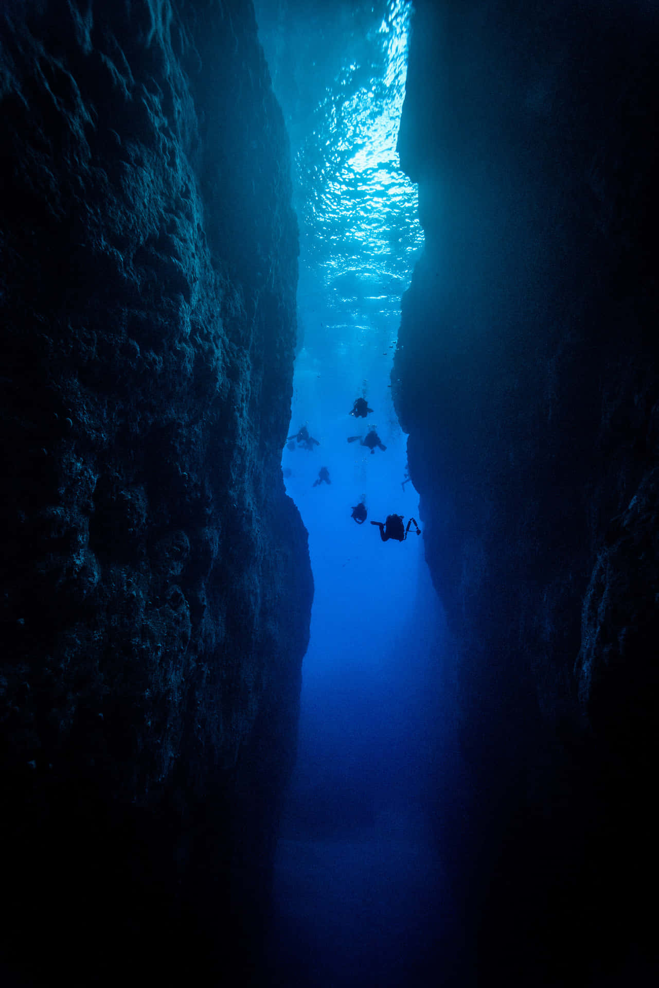 Explore the mysterious undiscovered depths of the ocean