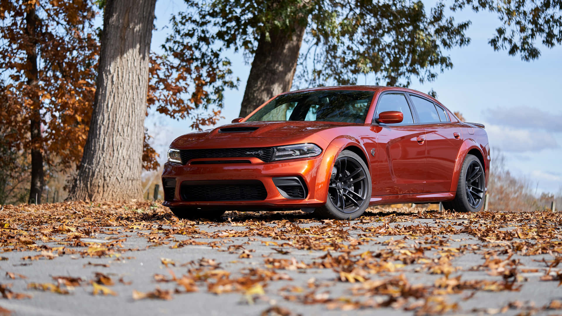The 2019 Dodge Charger Srt Parked In The Fall Wallpaper