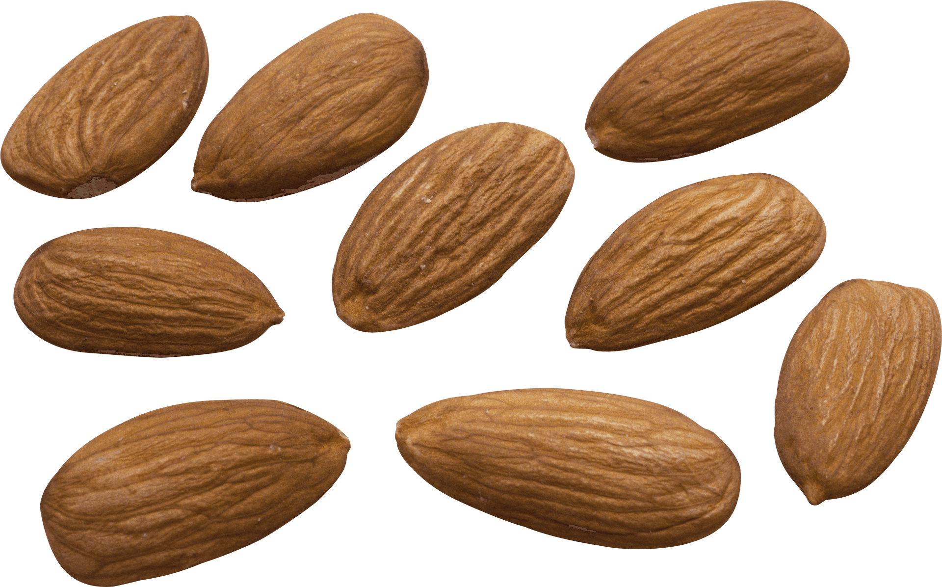 Scattered Almonds Isolated Background PNG