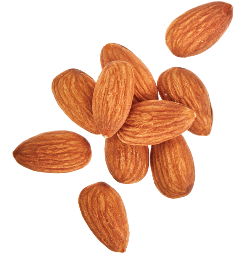 Scattered Almonds Isolated Background PNG