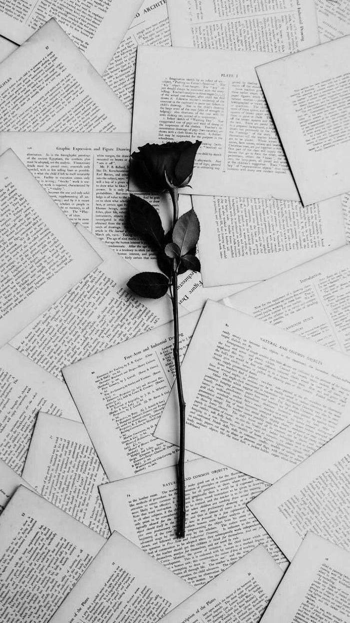 Download Scattered Book Pages Black Rose iPhone Wallpaper ...