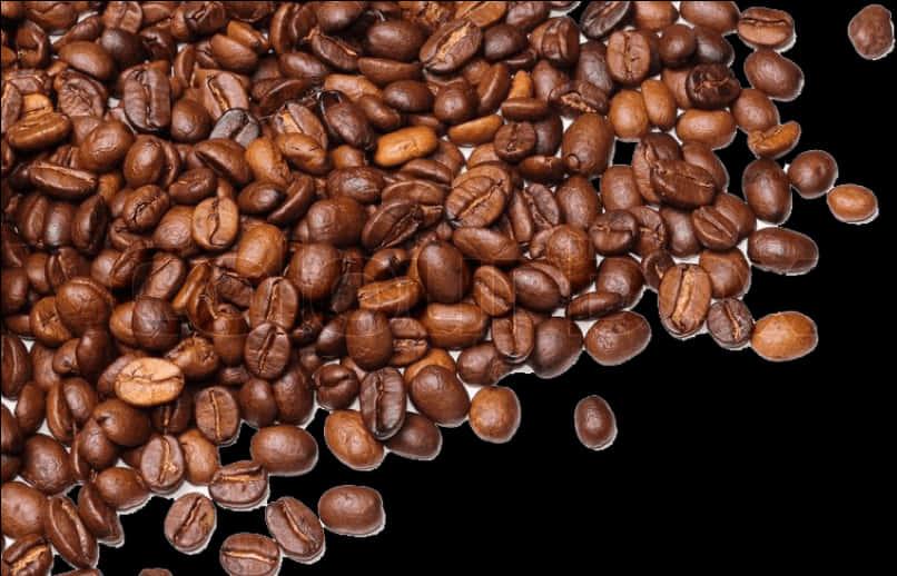 Scattered Coffee Beans Background PNG