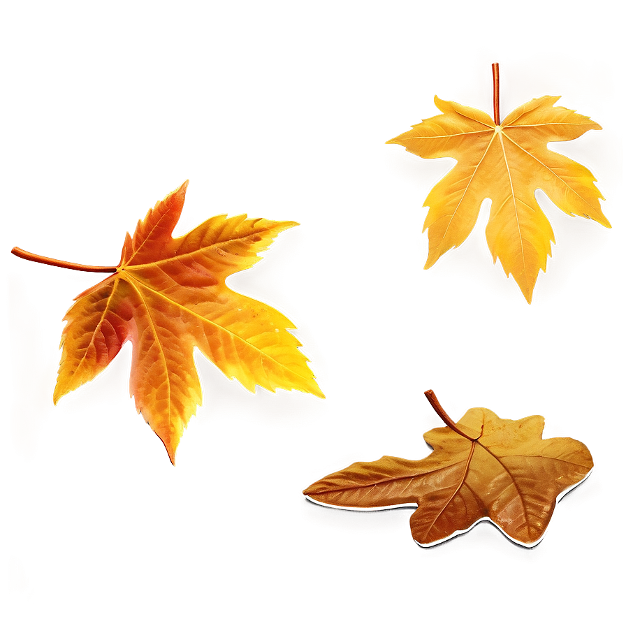 Scattered Fall Leaves Png Yyj PNG