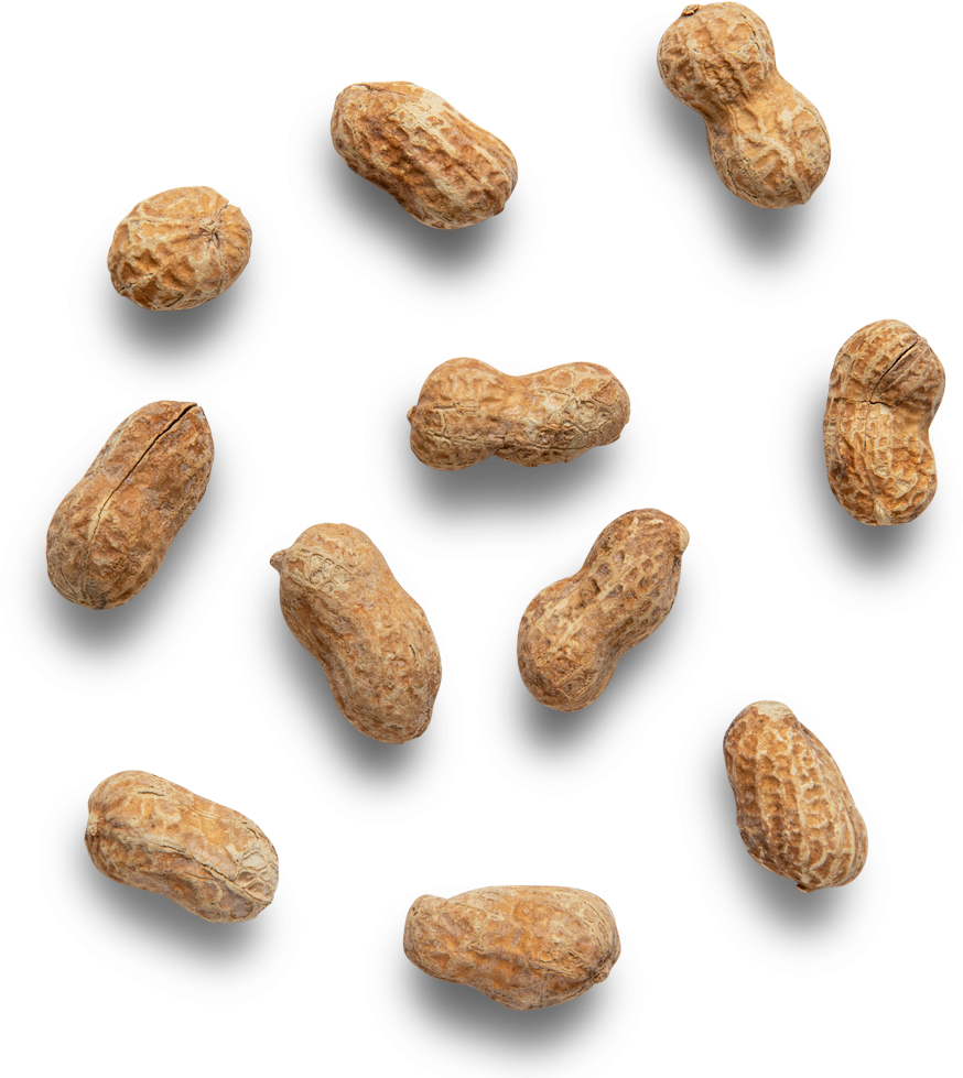 Scattered Peanutson Dark Background PNG