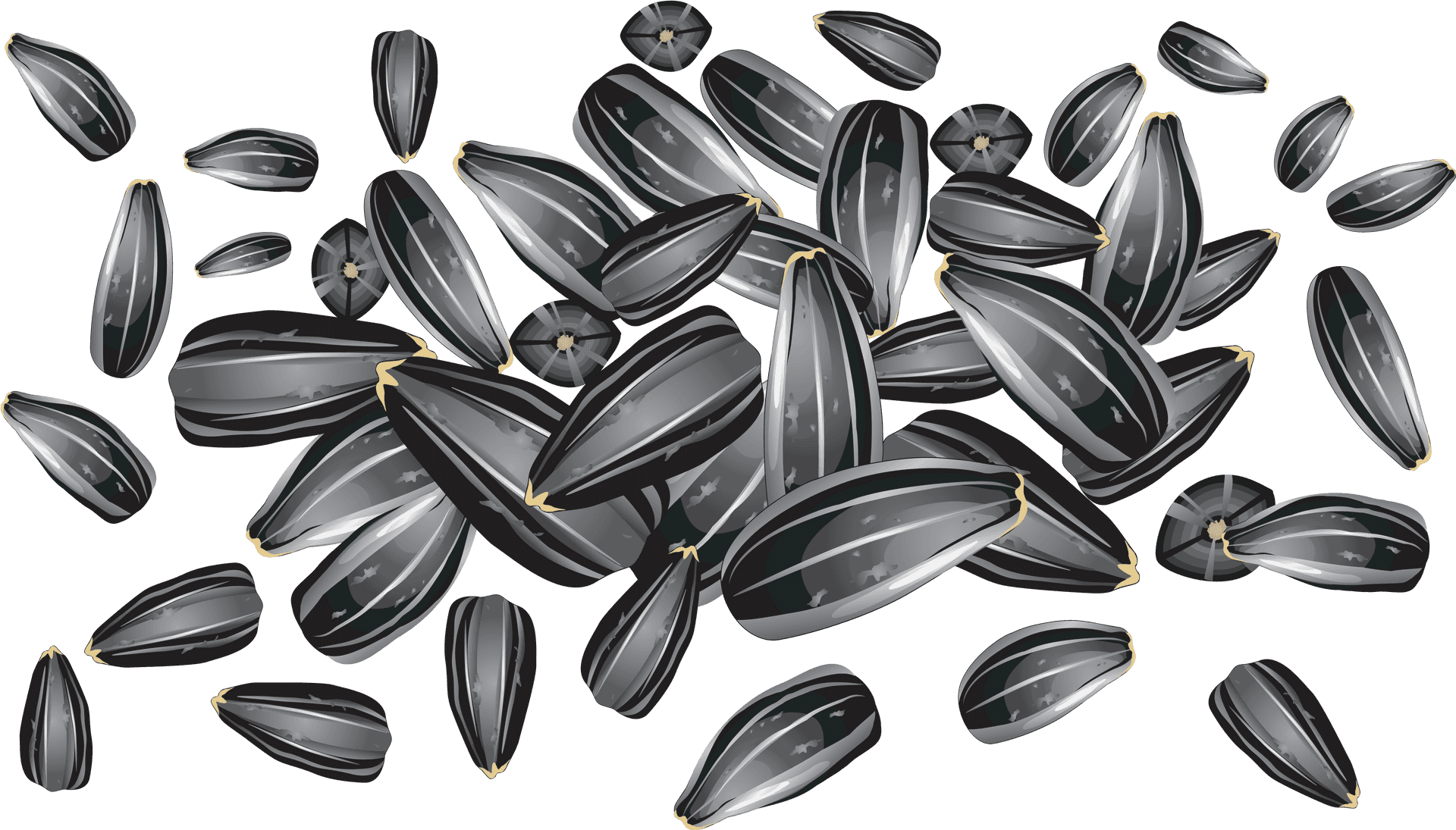 Scattered Sunflower Seeds Background PNG