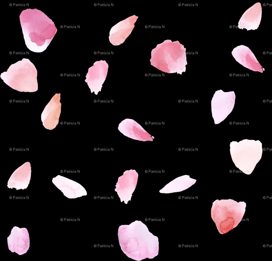 Scattered_ Rose_ Petals_ Pattern PNG