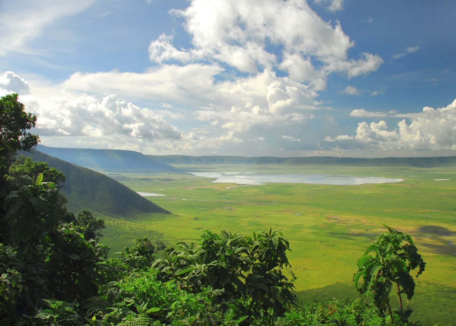 Paesaggiodell'area Di Conservazione Del Cratere Di Ngorongoro In Tanzania. Sfondo