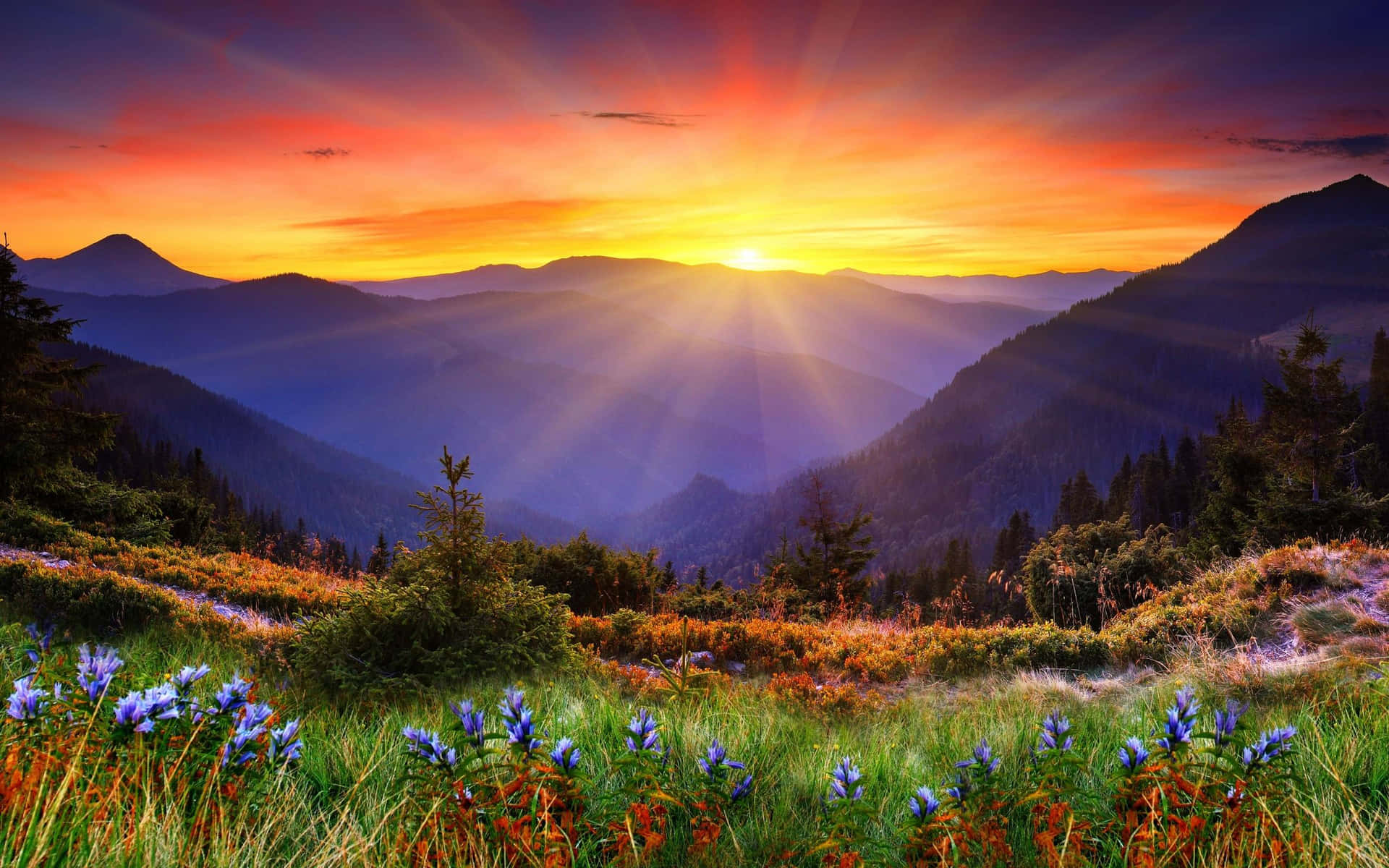 Enjoy the beauty of nature with this stunning desktop background Wallpaper