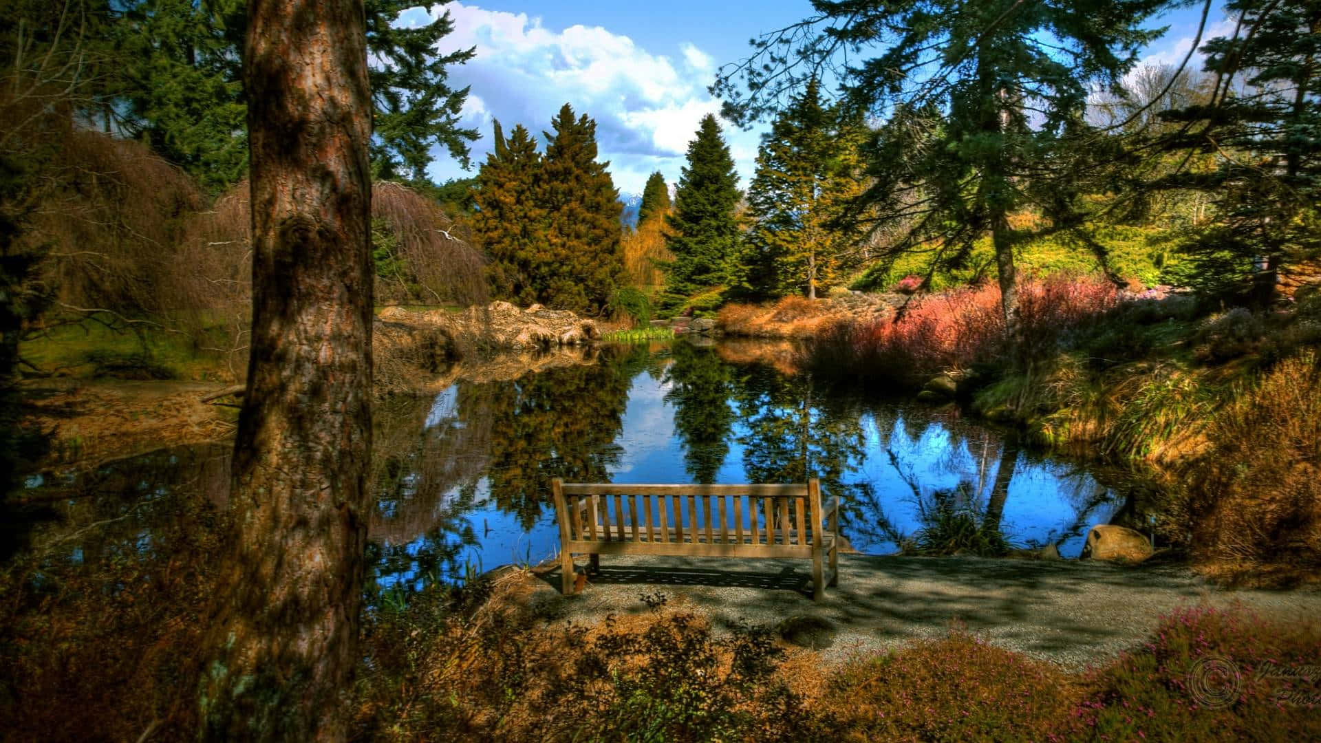 A Bench Is Sitting In A Pond Near Trees Wallpaper