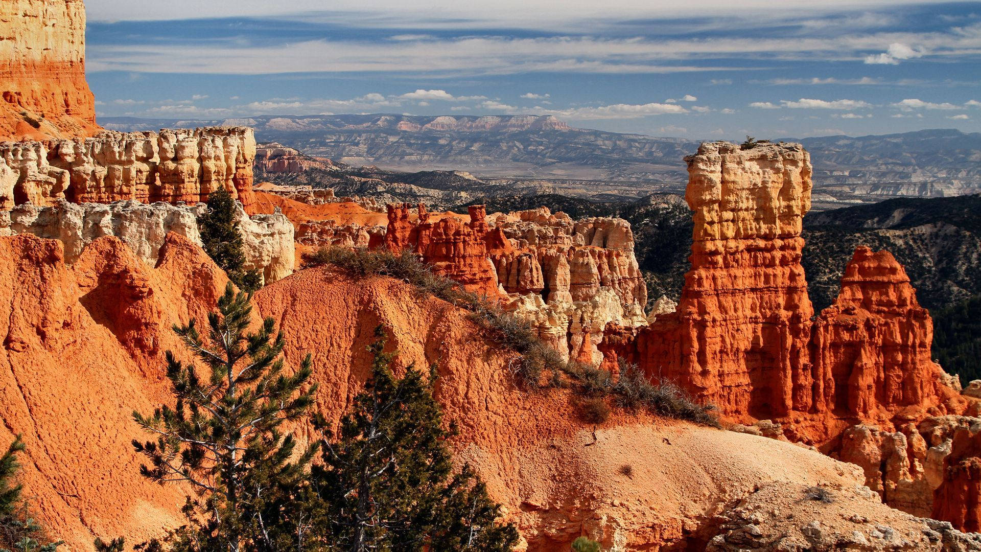 Udskåret landskab Bryce Canyon af røde klippeformationer Wallpaper