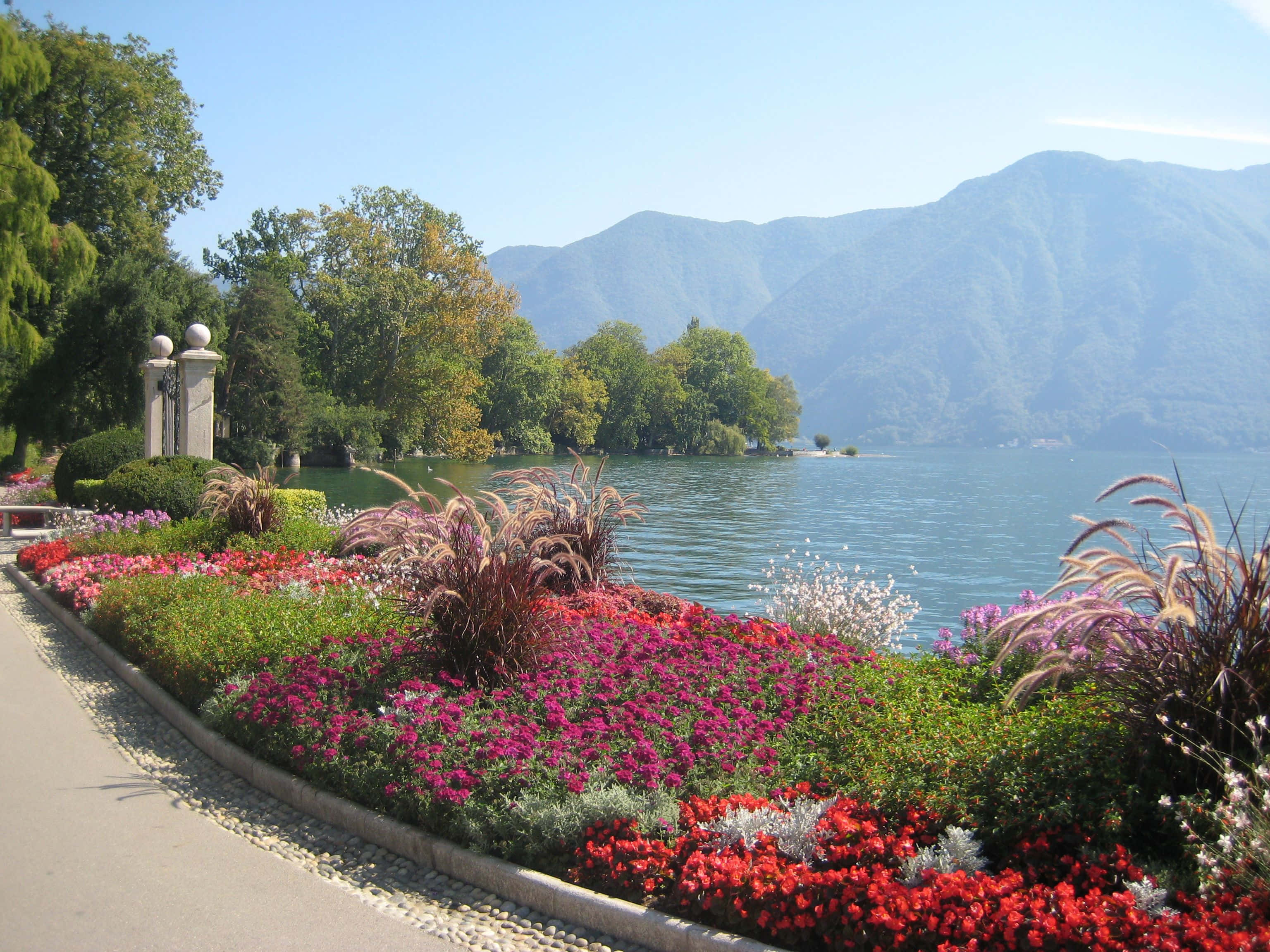 Scenisch Uitzicht Op Het Prachtige Meer Van Lugano Bij Zonsondergang, Zwitserland Achtergrond