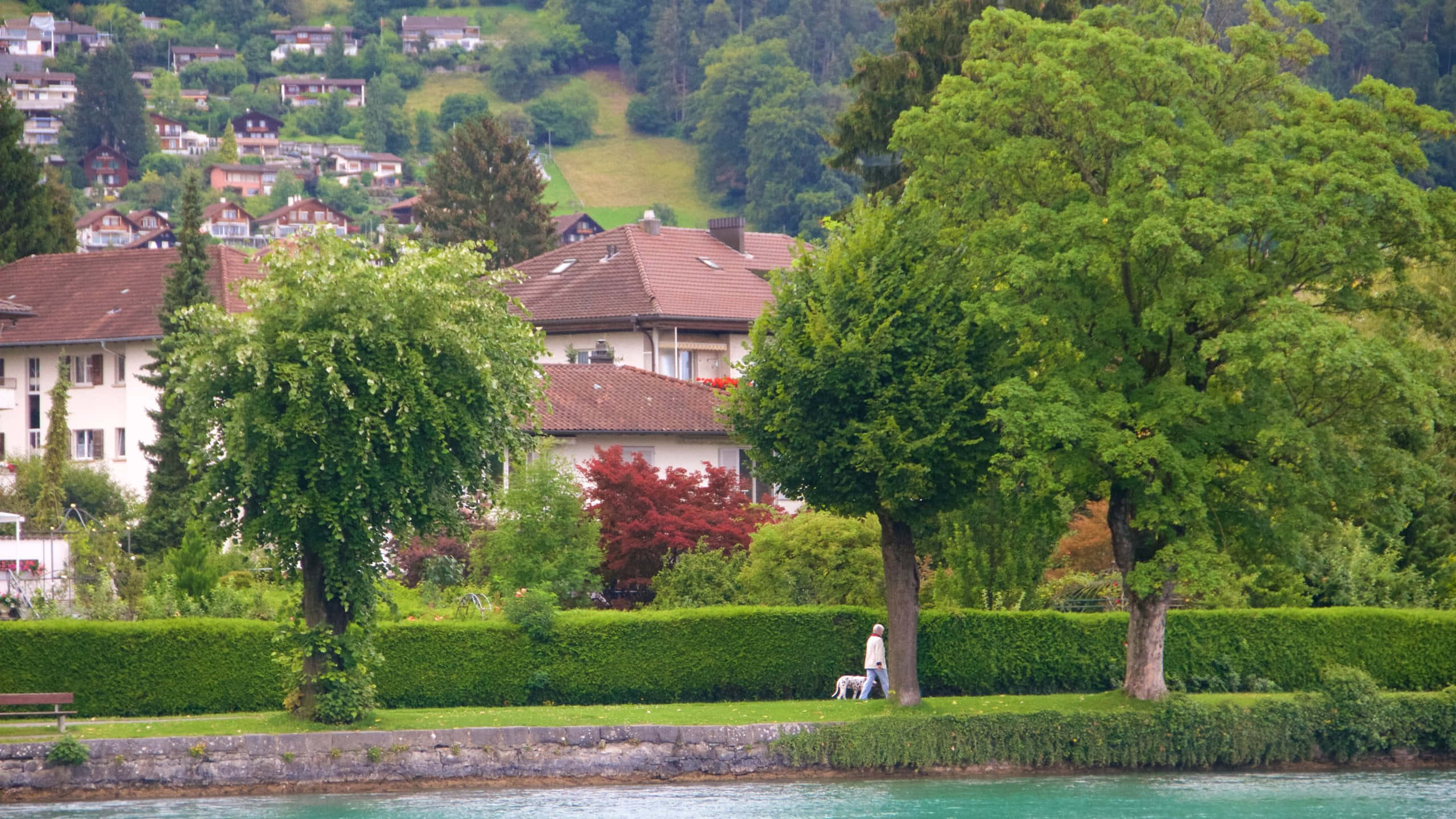 Scenic View Of Lake Thun, Switzerland Wallpaper
