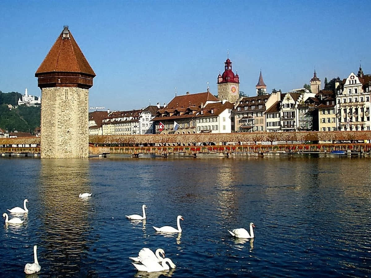 Scenic View Of Lucerne Lake Wallpaper