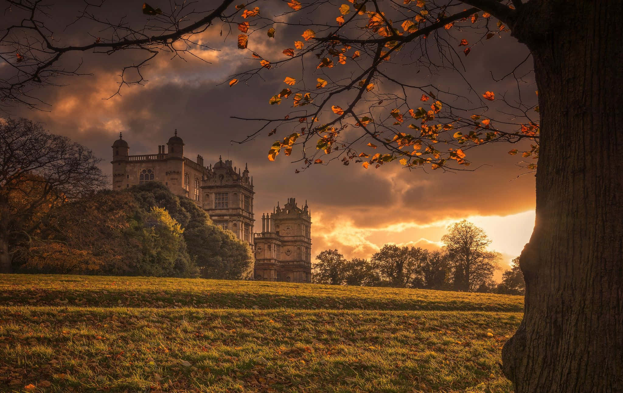 Scenic View Of Nottingham Skyline During The Sunset Wallpaper