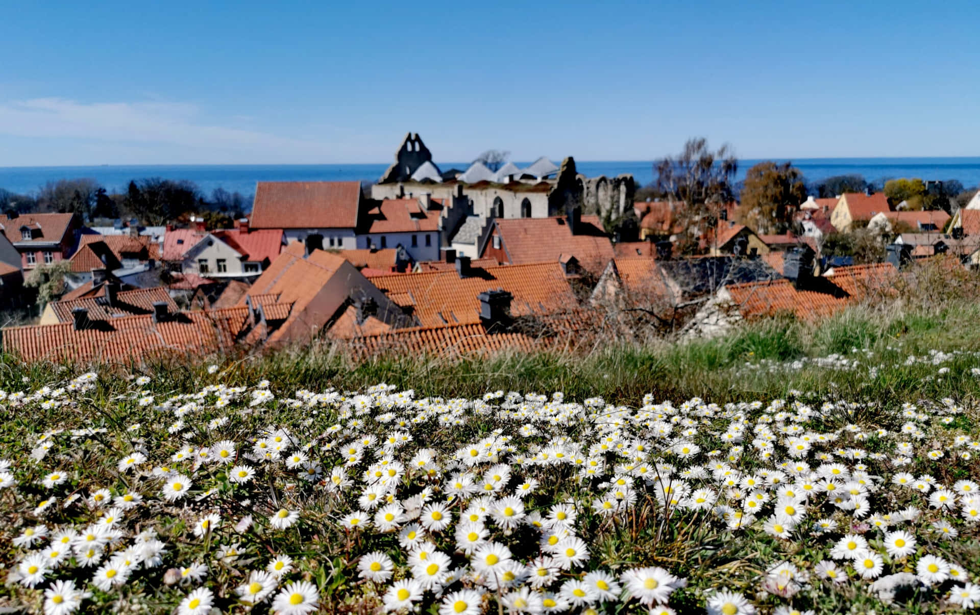 Scenic View Of Visby, Sweden Wallpaper