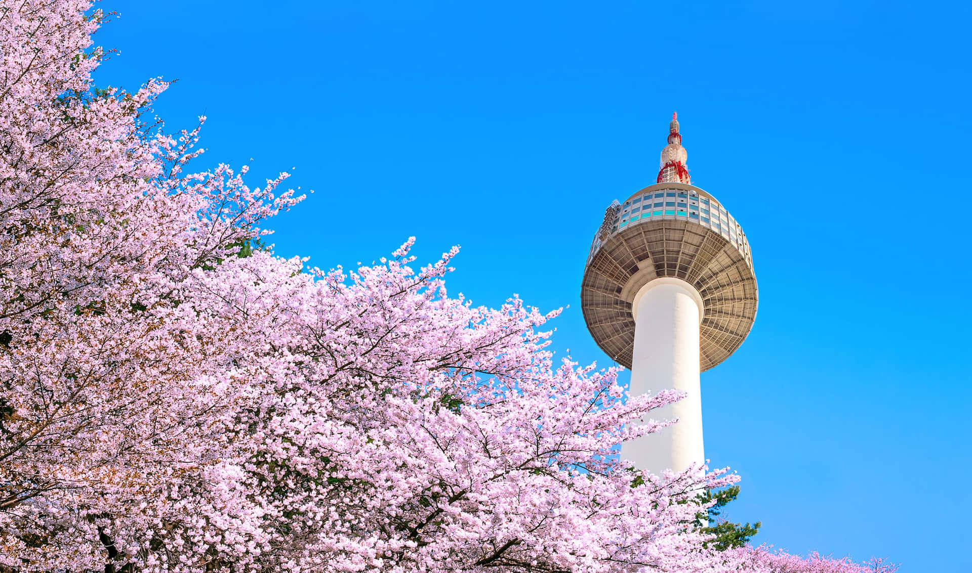 Scenicavista Notturna Di Seoul, Corea Del Sud