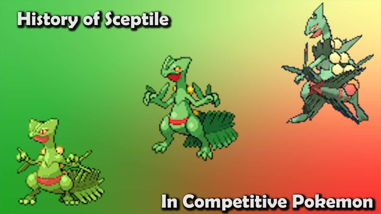 Sceptile Evolution Competitive Pokemon Wallpaper