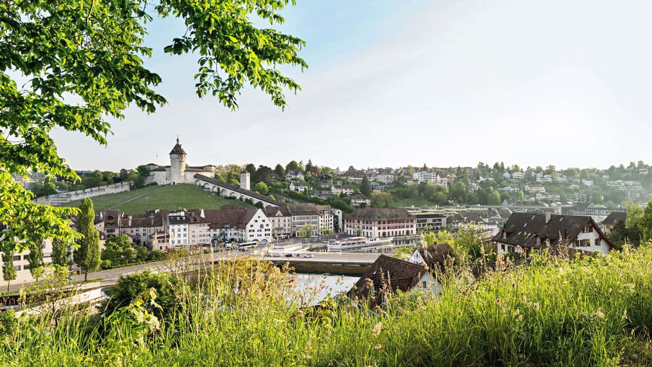 Schaffhausen Cityscapeand Munot Fortress Wallpaper