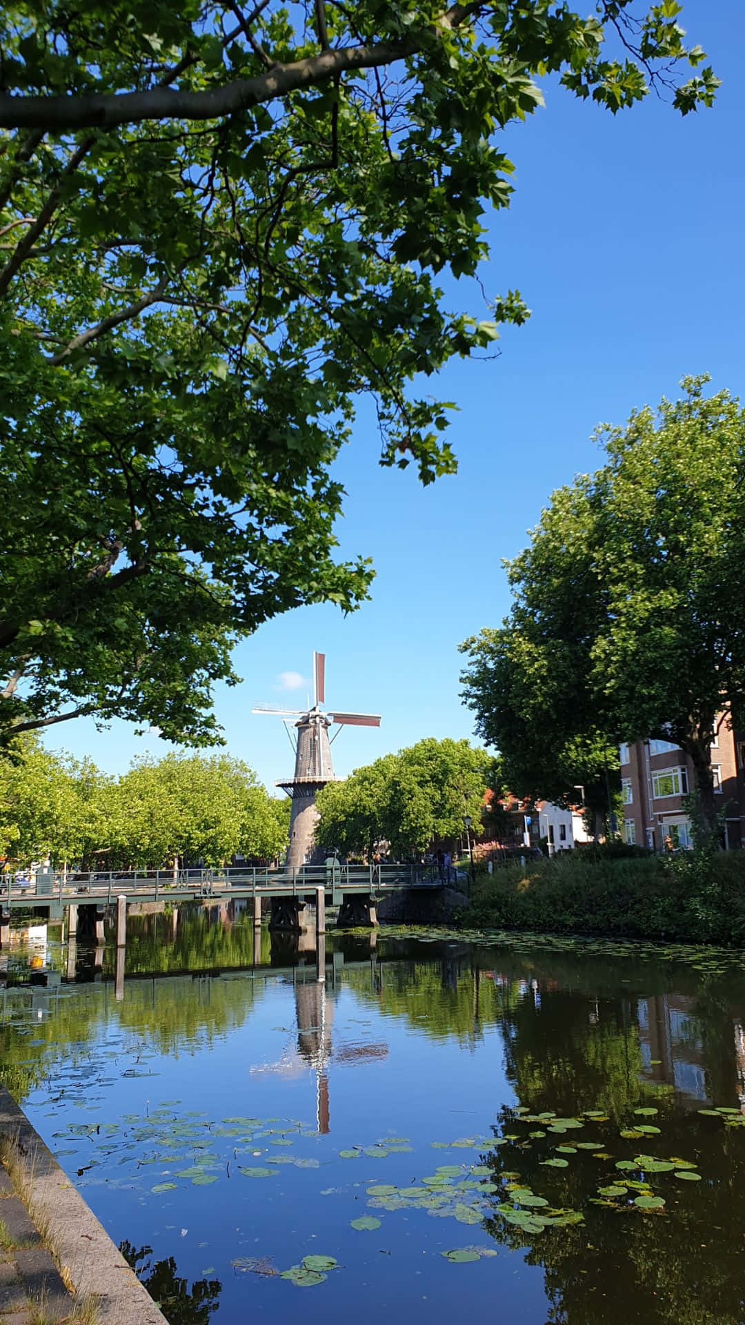 Schiedam Windmill Reflection Wallpaper